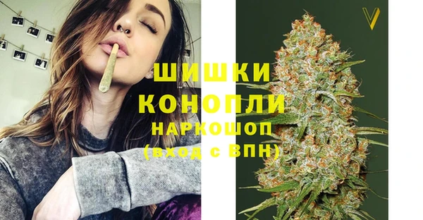 СК Балахна